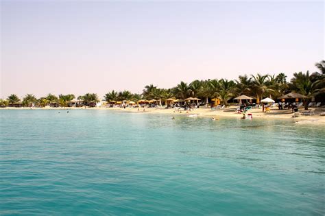 Top 12 Beaches in Saudi Arabia For The Sun And Sand