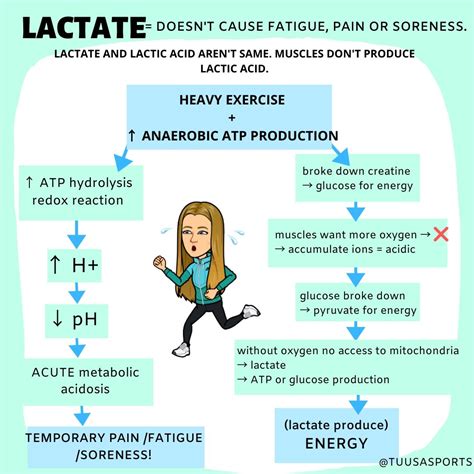 SCIENCE TALK: the truth about lactate and lactic acid - TuuSa Sports