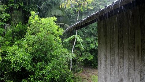 Rain tin roof Stock Video Footage - 4K and HD Video Clips | Shutterstock