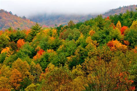 Fall Foliage- Official Chamber Planning InformationPigeon Forge Chamber ...