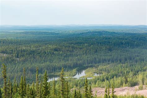 Planning for Climate Change Adaptation in the Canadian Boreal Forest ...