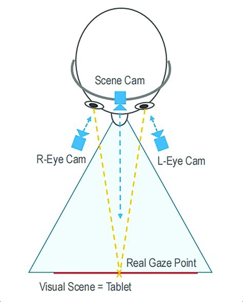 | Schematic of eye movement tracking. | Download Scientific Diagram