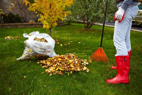 3 Essential Fall Clean-Up Chores To Improve Your Lawn for Spring