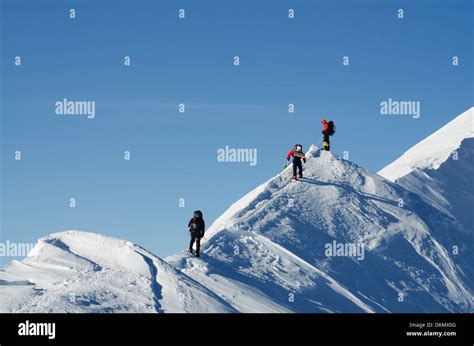 summit ridge, climbing expedition on Mt McKinley 6194m, Denali National ...