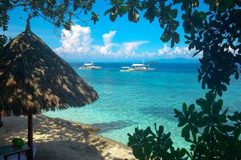 Moalboal & Panagsama - Cebu Seaview Dive Resort