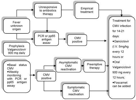 Management of CMV-Associated Diseases in Immunocompromised Patients ...