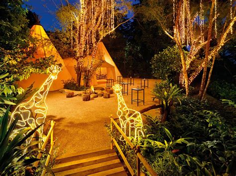 Singapore Night Safari: Where The Night Has More To Offer