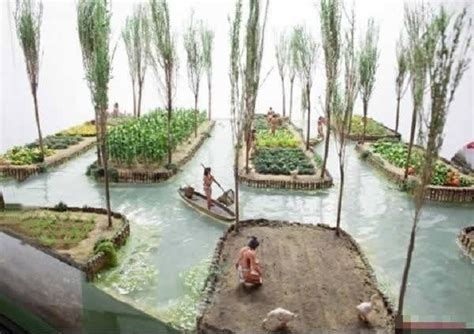 'Chinampas': The Ancient Aztec Floating Gardens that hold promise for ...