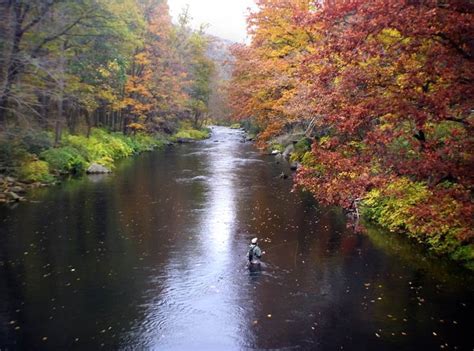 Savage River, Maryland | Outside | Pinterest