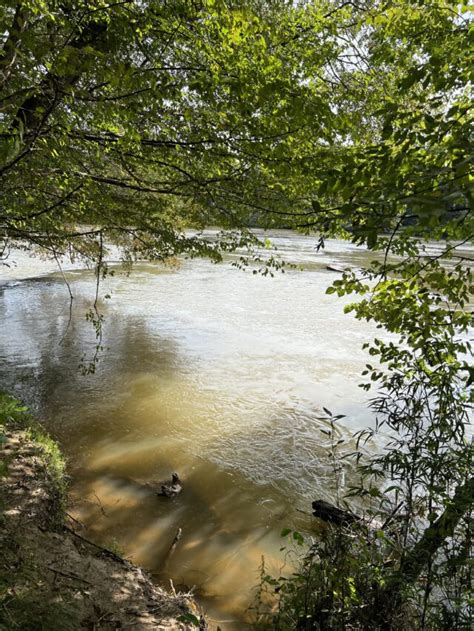 Chattahoochee River National Recreation Park: Why Kids Love It