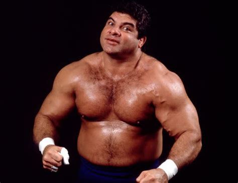 Don Muraco | Celebrities lists.