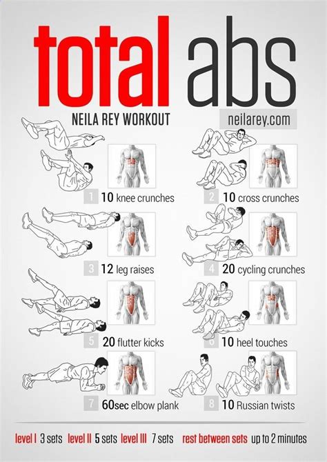 Total Abs Workout (lower abs, upper abs, obliques, rectus abdominal ...