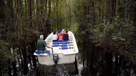 Okefenokee Swamp Park - Okefenokee Swamp Park & Adventures