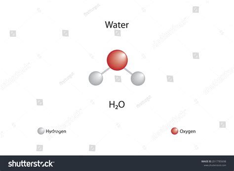 Molecular Formula Water Chemical Structure Water: เวกเตอร์สต็อก (ปลอด ...