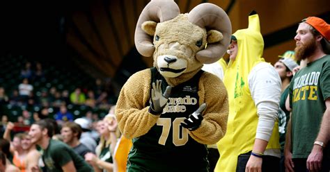 Quiz: Which CSU mascot are you?