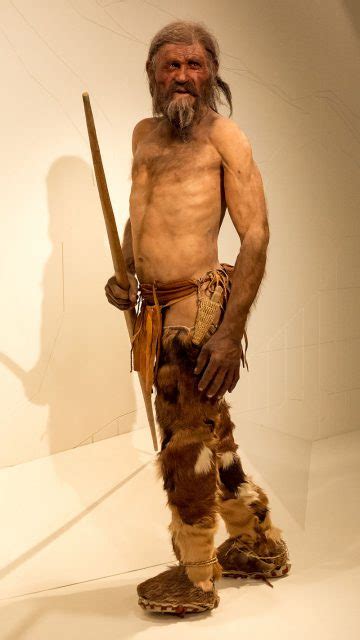 Weapons reveal how Ötzi, the 5300-year-old ice mummy lived - The ...