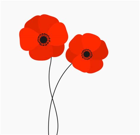 Clipart Poppy