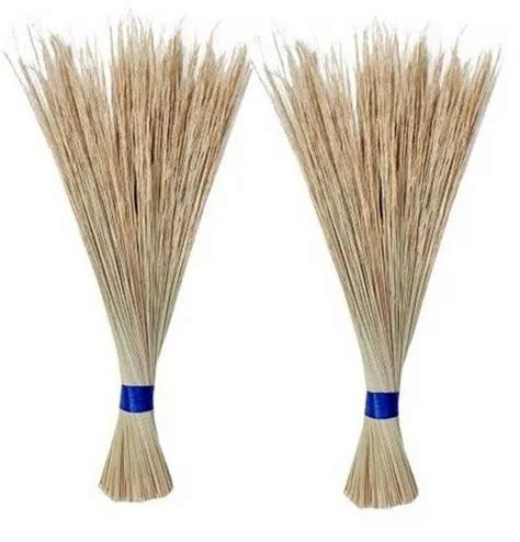 Broomsticks in Madurai, Tamil Nadu | Get Latest Price from Suppliers of ...