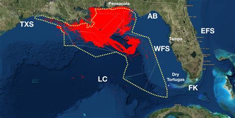 BP Oil Spill Impact Area Extended – Lisa Miller Associates