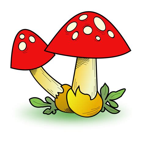 Fungi Clipart - ClipArt Best