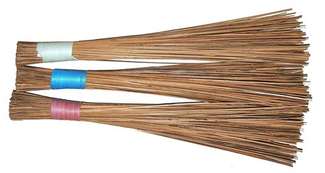 Harit - The Plant Shop Coconut Fiber Broomstick for Wet Floor, Garden ...