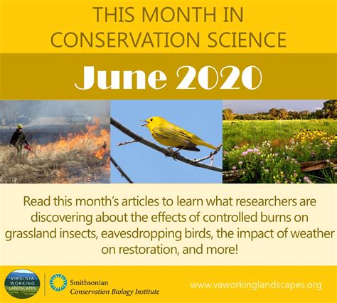 This Month in Conservation Science | June 2020 - Virginia Working ...