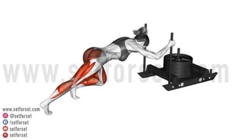 Sled Push & Pull: Benefits, Muscles Worked, & Variations - SET FOR SET