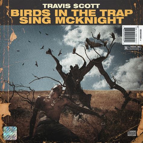 Travis Scott - Birds In The Trap Sing Mcknight [1200x1200] : r ...