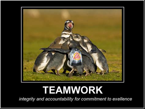 Funny Teamwork Quotes. QuotesGram