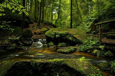 Waterfalls in Forest · Free Stock Photo