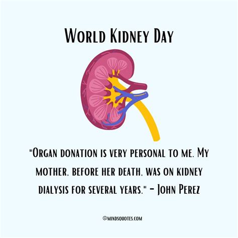 35 World Kidney Day Quotes, Wishes & Messages