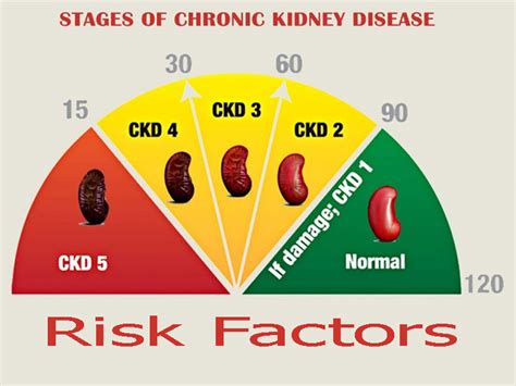 Stages of Kidney Disease and Risk Factors - Trust Multispeciality Hospitals