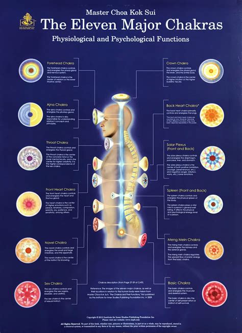 Chakras Poster