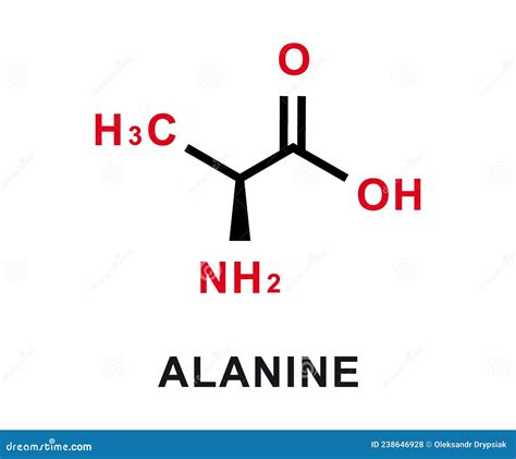 Alanine Chemical Formula. Alanine Chemical Molecular Structure. Vector ...