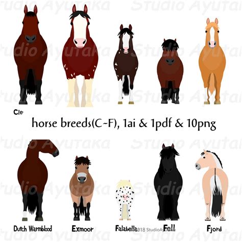 Horse Breed CF Bundle, Ai, Pdf, Png - Etsy