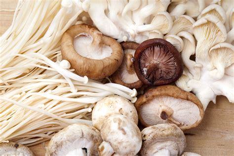 Assortment of fresh edible fungi-7950 | Stockarch Free Stock Photo Archive