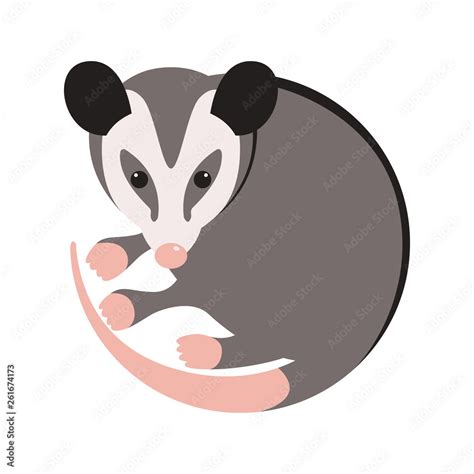 cartoon opossum, vector illustration, flat style vector de Stock ...