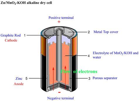 Draw Neat And Labelled Diagram Of Dry Cell Chemistry | Porn Sex Picture