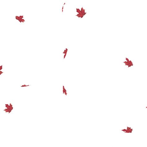 Red Maple Leaf Fall GIF Download