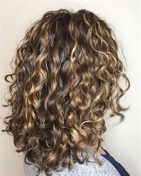 2024 Popular Brown Curly Hairstyles with Highlights