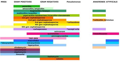 Antibiotic Coverage | Antibiotics chart, Antibiotics pharmacology ...