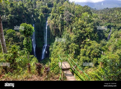 Tropical island trees plants hi-res stock photography and images - Alamy