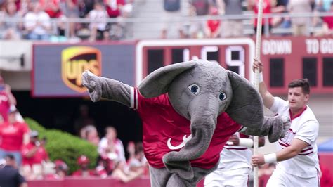 National Mascot Day: Cheering on Big Al - University of Alabama News