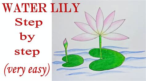 How to draw water lily step by step ( very easy) - YouTube