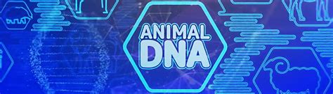 Animal DNA