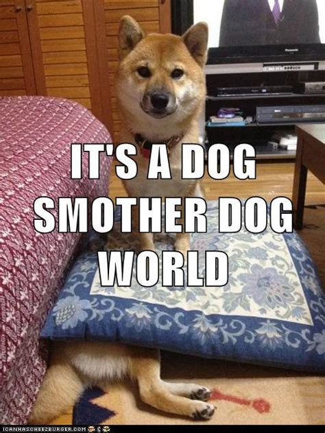 I Has A Hotdog - dog eat dog - Funny Dog Pictures | Dog Memes | Puppy ...