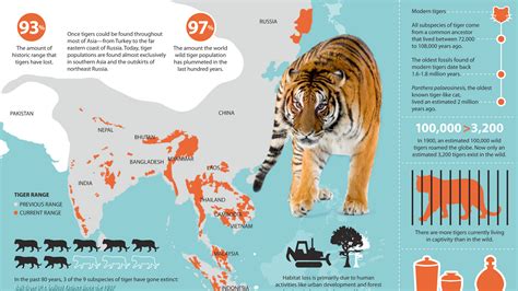 Siberian Tiger Habitat – Amur Tiger Habitat Loss and Map - Siberian Tiger