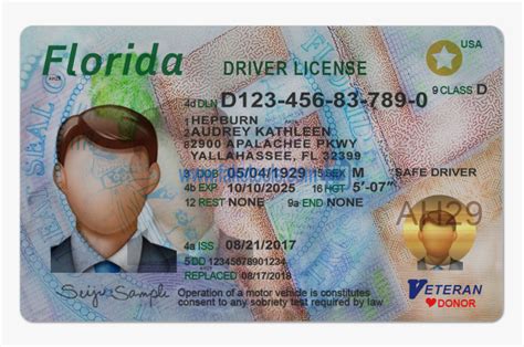 Fl Drivers License Template