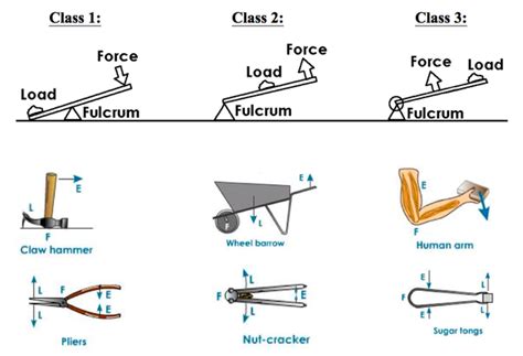 Types of simple Machine - Online Science Notes