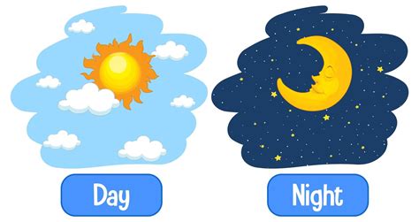 Opposite adjectives words with day and night | Adjective words ...